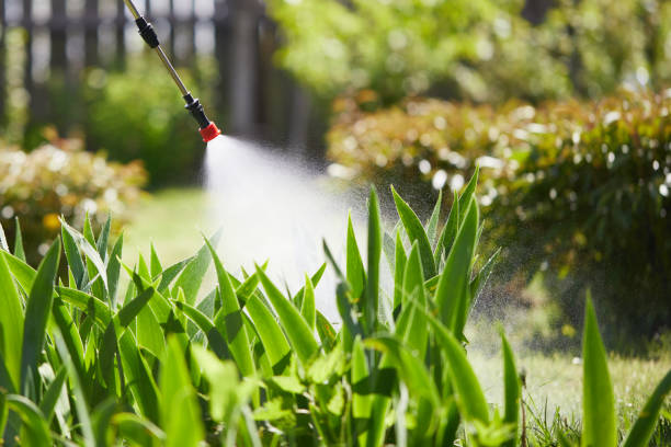 Tamper-Resistant Bait Stations for Rodents in West Salem