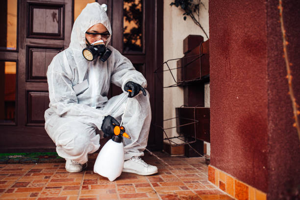 Attic and Crawl Space Rodent Treatment in West Salem